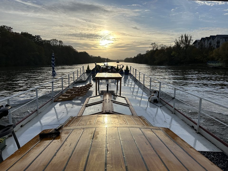 Oscar resting on Maria's deck as she travels towards the evening light